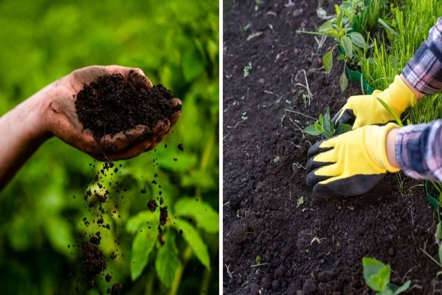 From Bare Soil to a Garden Full of Handmade Comforts